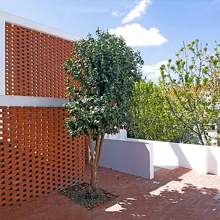 Margueda Alcains